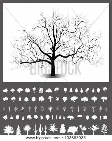 Trees set, isolated illustration of spring tree