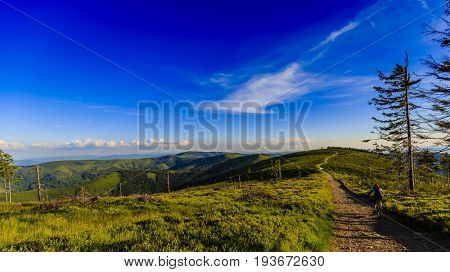 Mountain biking women riding on bike in summer mountains forest landscape. Woman cycling MTB flow trail track. Outdoor sport activity.