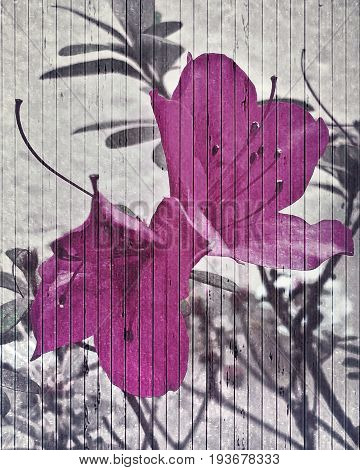 Vintage Style Flower Closeup