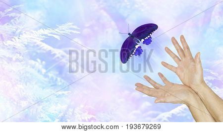 Spiritual Release -  female hands with a large  indigo colored butterfly moving away and up on an ethereal blue woodland background metaphor depicting a departing soul