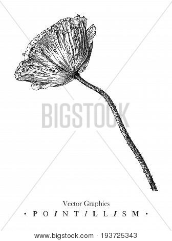 Vector illustration with poppy flower drawn by hand. Graphic drawing pointillism technique. Black and white floral element for design