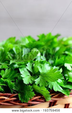 Fresh parsley herbs. Parsley sprigs in a wicker basket. Vertical photo