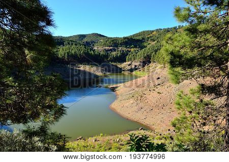 Water dam and pine forest, summit of Gran canaria, Canary islands