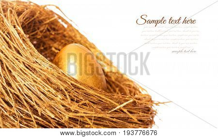 Golden egg in the gold nest. Isolated on white background