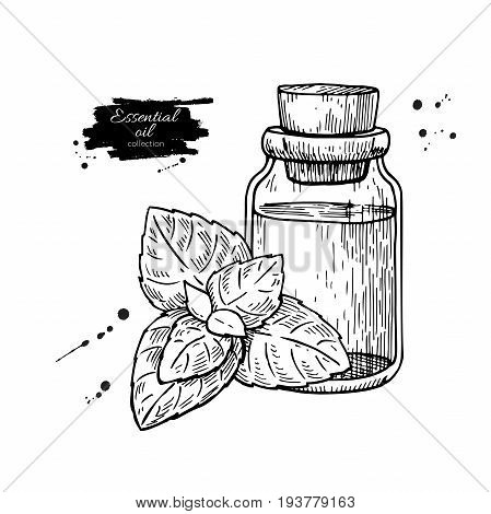 Mint essential oil bottle and peppermint leaves hand drawn vector illustration. Isolated plant drawing for Aromatherapy treatment, alternative medicine, beauty and spa, cosmetic ingredient. Great for label, poster, flyer, packaging design.