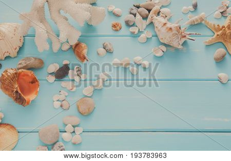 Seashells on blue wood, sea vacation background with copy space on wooden planks, top view