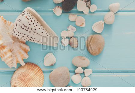 Seashells, corals on blue wood, sea vacation background with copy space on wooden planks
