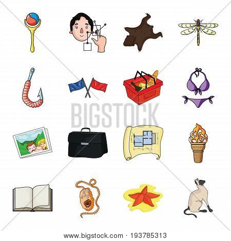 asterisk, sea, catand other  icon in cartoon styleanimal, walk, fauna. icons in set collection.