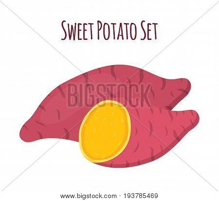 Brown batat, sweet potato. Organic healthy vegetable. Fresh natural root. Made in cartoon flat style