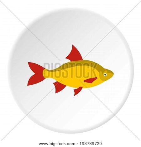 Scardinius erythrophthalmus icon in flat circle isolated vector illustration for web