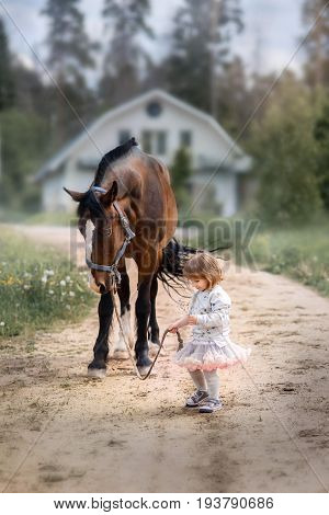 Girl with her friend - horse walking on summer field