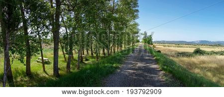 Green Way Black Eyes In Its Passage By Barracas In Castellon