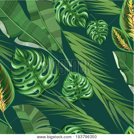 Realistic exotic tropical floral pattern with green monstera banana palm croton and chamaedorea leaves vector illustration
