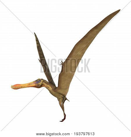 3D Rendering Pterodactyl Anhanguera On White