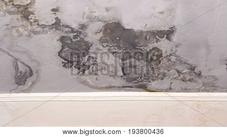 Wall paint that peels off and fades off due to moisture problems in wallcovering, dark spots needs repaired and repainted. Ruined by mold fungus and mildew plastering plaster ceiling