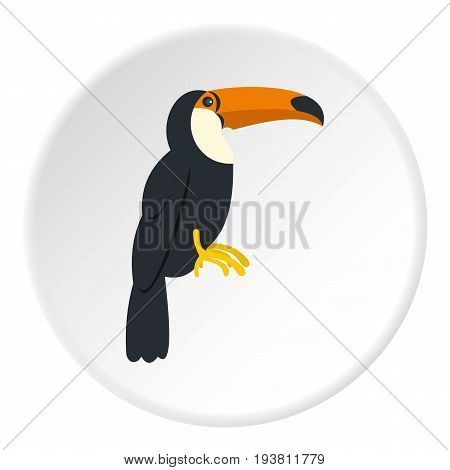 Toucan, ramphastos vitellinus icon in flat circle isolated vector illustration for web