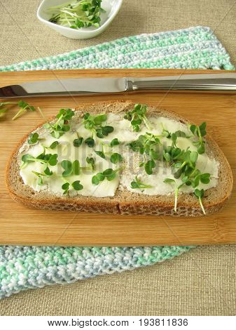 Rye Bread with Butter and fresh Radishes Sprouts