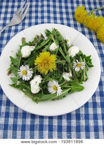 Wild herb salad with dandelion and daisy