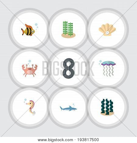 Flat Icon Sea Set Of Seaweed, Cancer, Alga And Other Vector Objects. Also Includes Sea, Seashell, Tuna Elements.