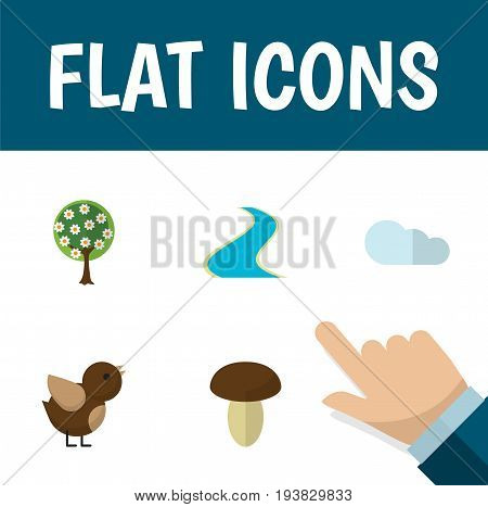 Flat Icon Bio Set Of Tributary, Champignon, Overcast And Other Vector Objects. Also Includes Cloud, Tributary, Fungi Elements.