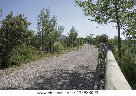 Green Way Black Eyes In Its Passage By Barracas In Castellon