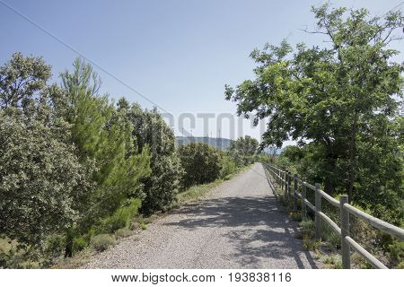 Green Way Black Eyes In Its Passage By Barracas In Castellon