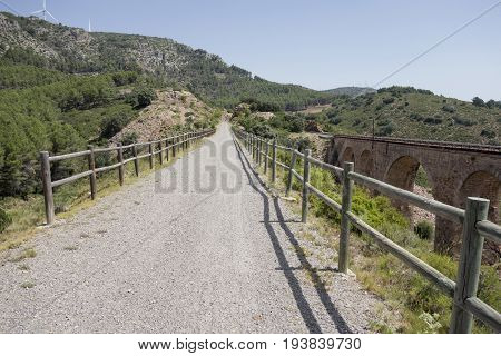 Green Way Black Eyes In Its Passage By Barracas In Castellon