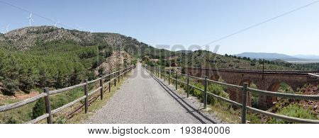 Green Way Black Eyes In Its Passage By Barracas In Castellon