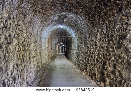 Green Way Black Eyes In Its Passage By Barracas In Castellon