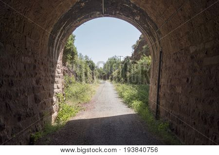 Green Way Black Eyes In Its Passage By Barracas In Castellon