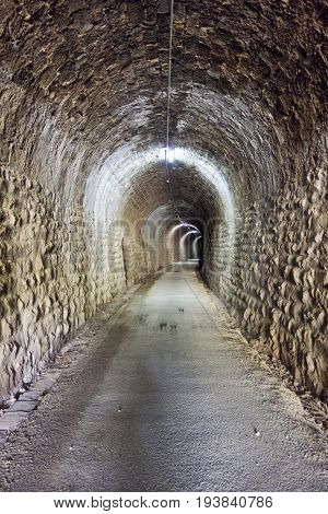 Green Way Black Eyes In Its Passage By Barracas In Castellon