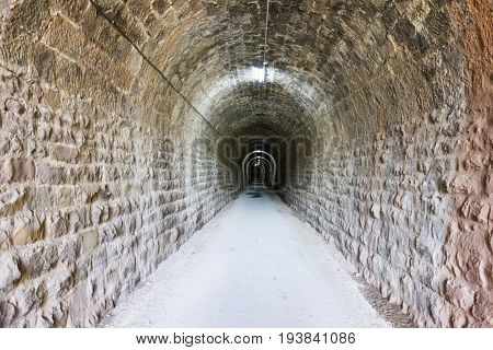 Green Way Black Eyes In Its Passage By Barracas In Castellon