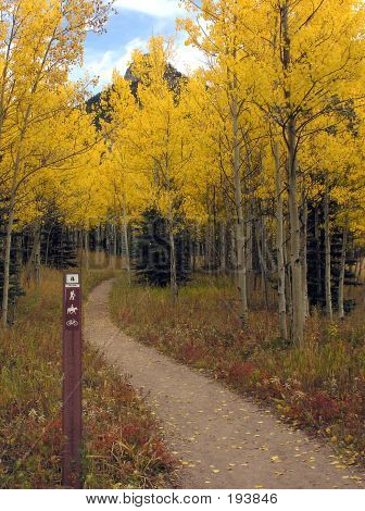 MultiUse Trail im Herbst