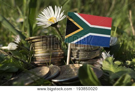 South African Flag With Stack Of Money Coins With Grass And Flowers