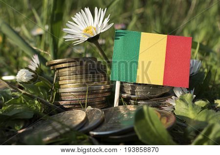 Malian Flag With Stack Of Money Coins With Grass And Flowers