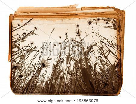 old book - old paper texture in detail