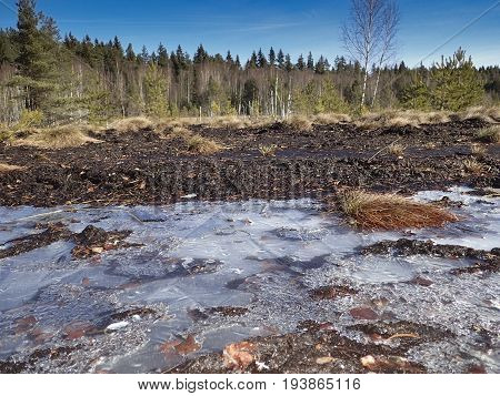 peat bog; peatbog landscape Sumava Crech republic