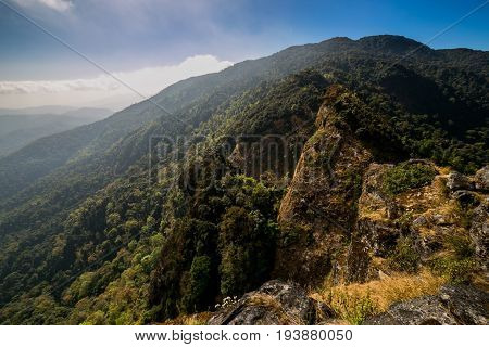 The Spectacular jungle landscape with mountain range