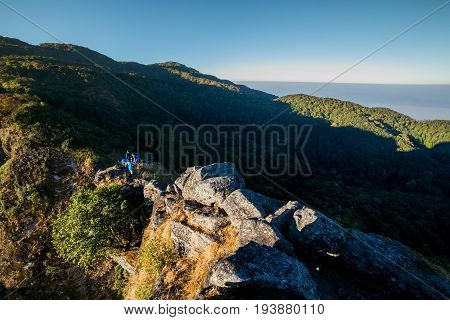 Spectacular jungle landscape with the mountain range