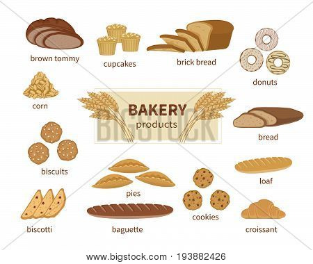 Bakery products, fresh bread and pastry. Food Collection and shop elements of sliced loaf, french baguette, rye bread, wheat branch, croissant, muffins, biscotti, biscuits, cookie, pies, donuts.Vector