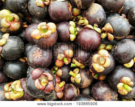 Fresh mangoteens sold in market , Fruit image background