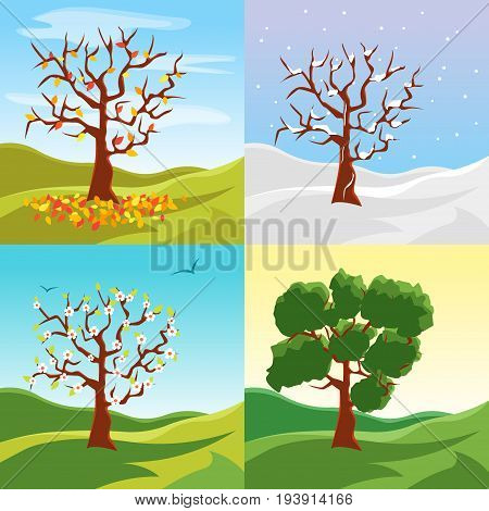 Cartoon Tree Seasons Set on a Nature Landscape Background Summer, Spring, Winter and Autumn Environment Scene. Vector illustration