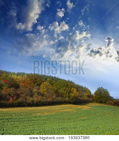 autumnal landscape - Europe Czech Republic Moravia Kyjov