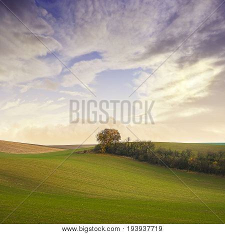 autumnal landscape - Europe Czech Republic Moravia Kyjov