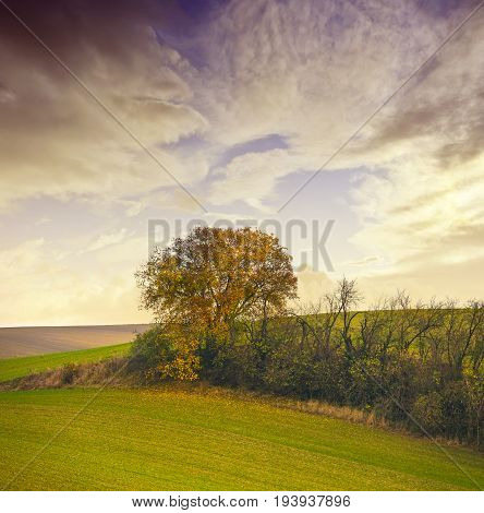 autumnal landscape - Europe Czech Republic Moravia Kyjov