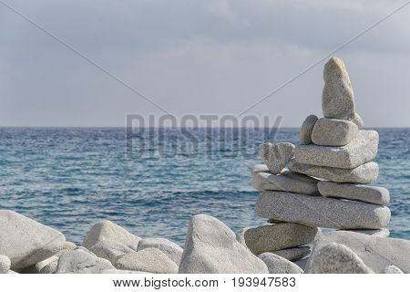 Practical demonstration of harmonious equilibrium in nature
