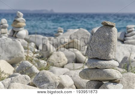 Practical example of perfect equilibrium in nature