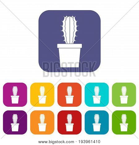Cactaceae cactus icons set vector illustration in flat style In colors red, blue, green and other