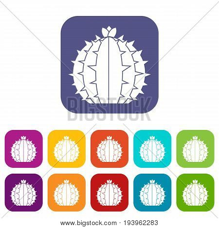 Lophophora cactus icons set vector illustration in flat style In colors red, blue, green and other