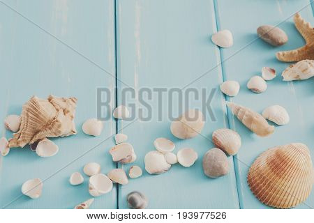 Seashells on blue wood, sea vacation background with copy space on wooden planks